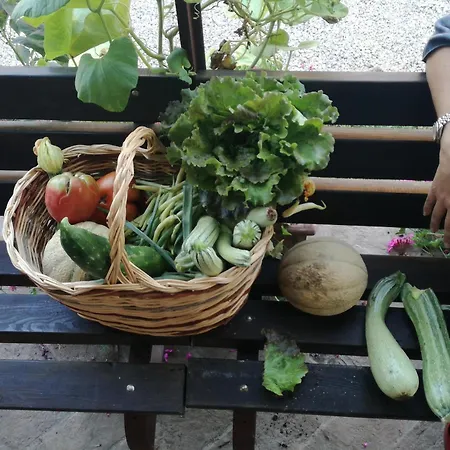 ファームステイ ファットリア サン ドナート *