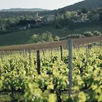 Fattoria San Donato Farma San Gimignano