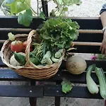 Farma Fattoria San Donato *