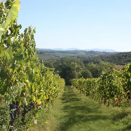 Fattoria San Donato * San Gimignano