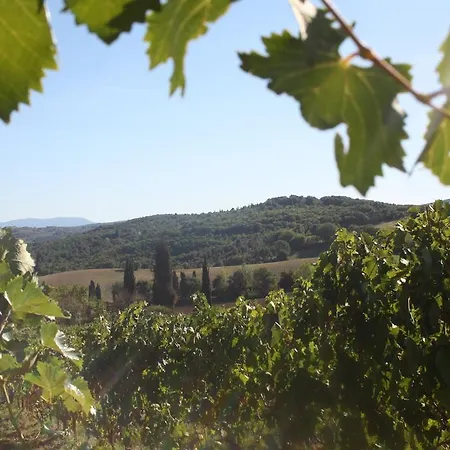 Gospodarstwo agroturystyczne Fattoria San Donato