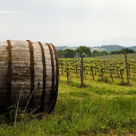 Fattoria San Donato