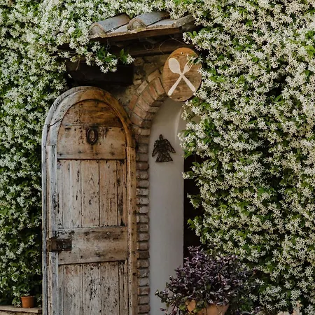 Fattoria San Donato