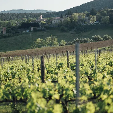 Fattoria San Donato Gospodarstwo agroturystyczne San Gimignano