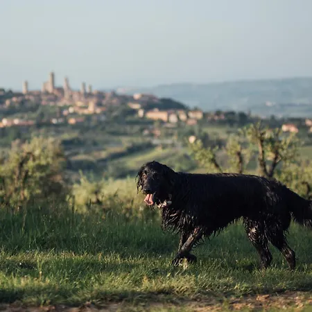 Farma Fattoria San Donato