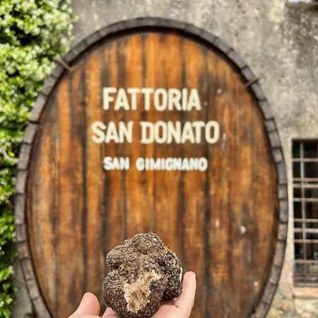 Fattoria San Donato