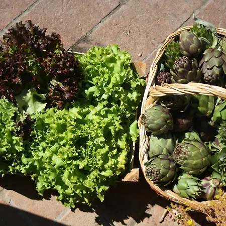 Gospodarstwo agroturystyczne Fattoria San Donato